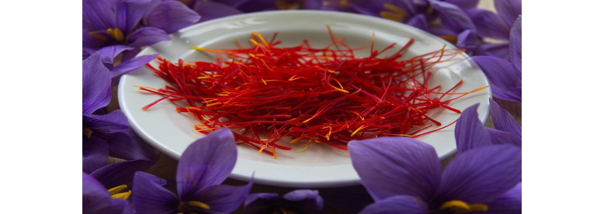 Sommer er tid for Safrankrokus