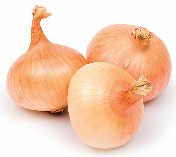 Sætteløg / Spiseløg