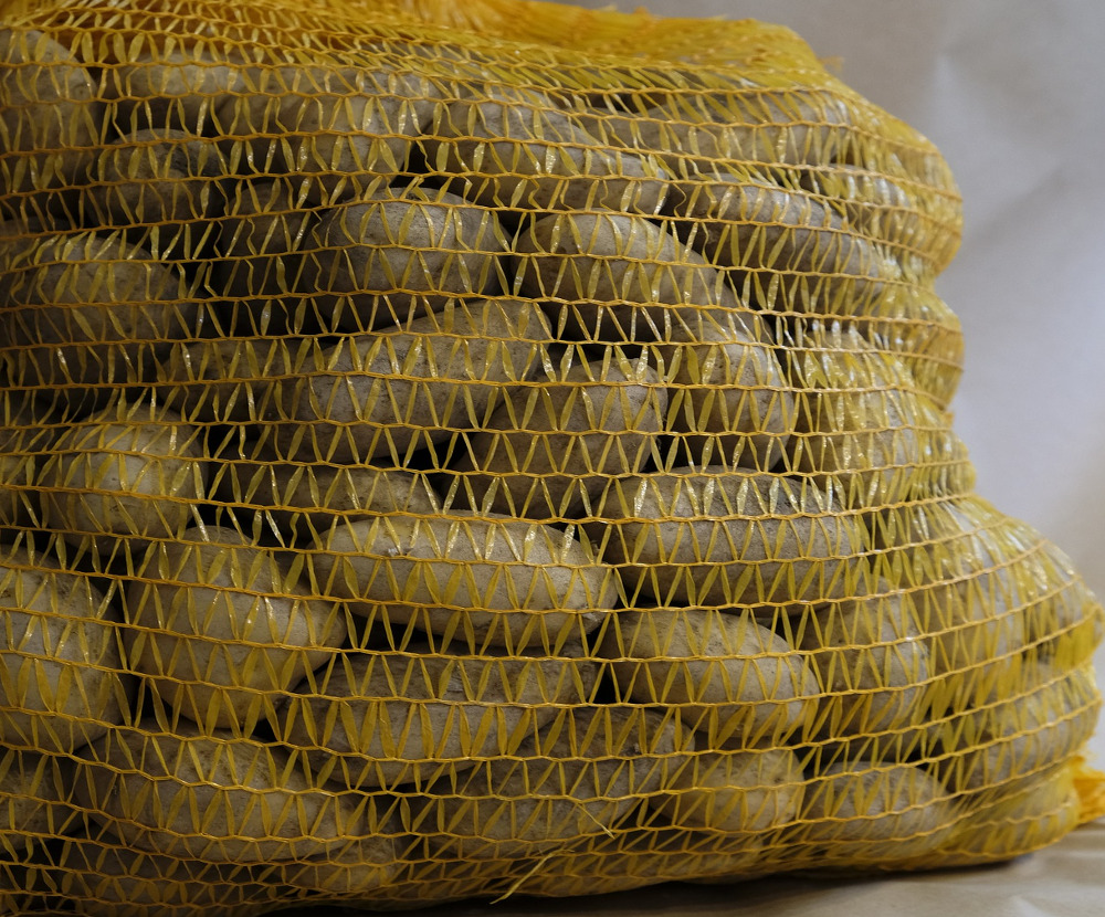 Læggekartofler i sække