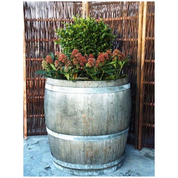 3/4 Original vintnde