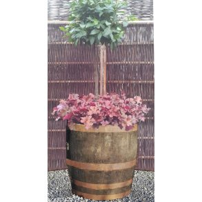 3/4 Original Whiskytnde