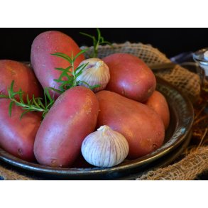 Alouette L�ggekartofler 1,5 kg