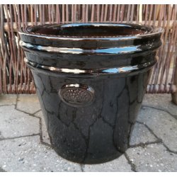 Ashley krukke, Blank sort *