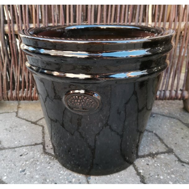 Ashley krukke, Blank sort *