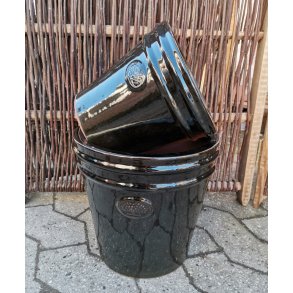 Ashley krukke, Blank sort *