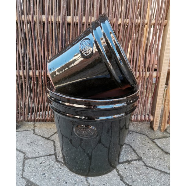 Ashley krukke, Blank sort *