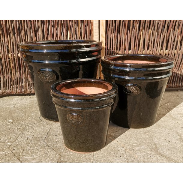 Ashley krukke, Blank sort *