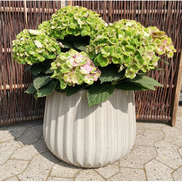 Astrid krukke, Beige*