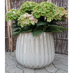 Astrid krukke, Beige*