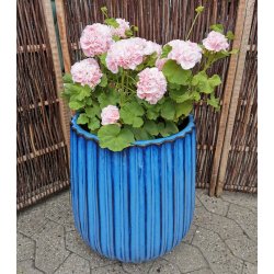 Hj Astrid krukke, Bl*