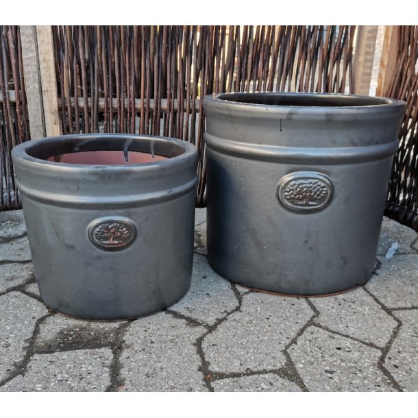 Bj�rk krukke, matsort *