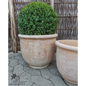 Emilia Chokoterracotta Krukke(*)