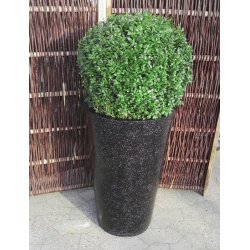 H�j rund PolyTerazzo*