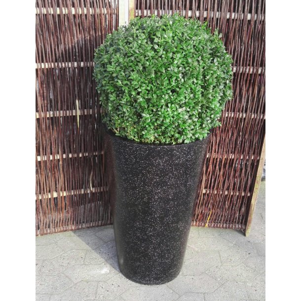 H�j rund PolyTerazzo*