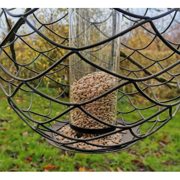 Foderautomat Protective Globe