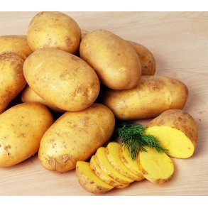 Gwenne L�ggekartofler 1,5 kg