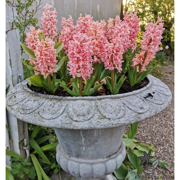 Blomsterl�g Oprydningspakke 2 (stor)