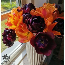 Tulipanblanding Halloween Party