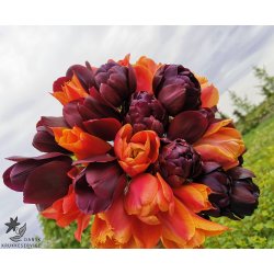 Tulipanblanding Halloween Party