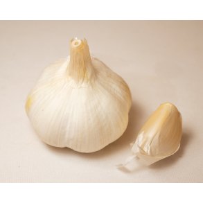 S�ttel�g Hvidl�g Flavor