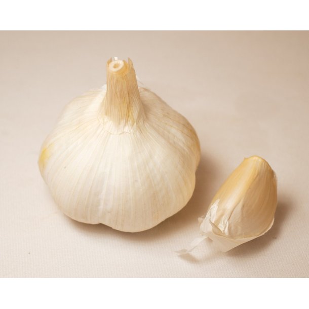 S�ttel�g Hvidl�g Flavor