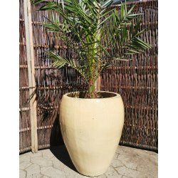 Josephine, Sandfarvet keramik*