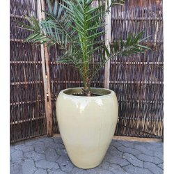 Josephine, Sandfarvet keramik*