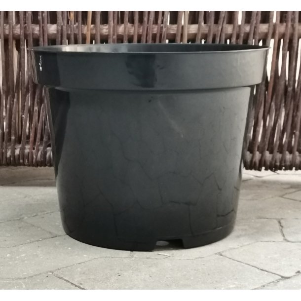 Planteskolepotte, 10 L.