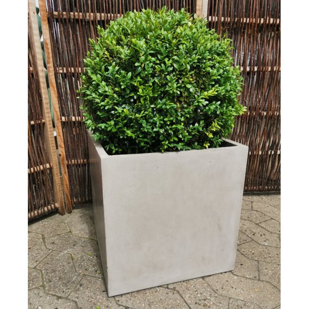 Posito firkantet letbeton krukke*