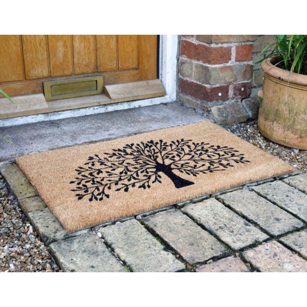 D�rm�tte Sherwood