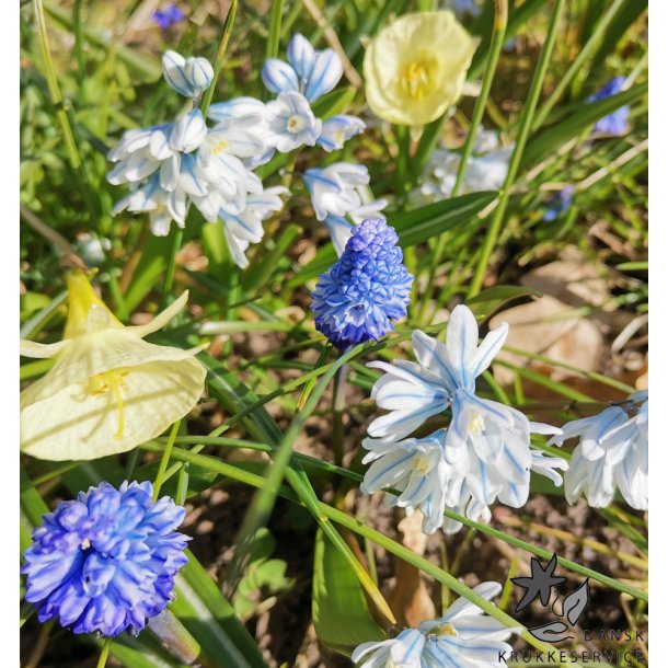 Spring Blues, Mix