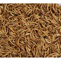 T�rrede Melorme  300 gram.