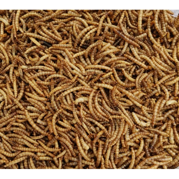 Trrede Melorme  300 gram.