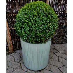 Hj Wilma krukke, mintgrn*