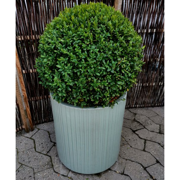 Hj Wilma krukke, mintgrn*