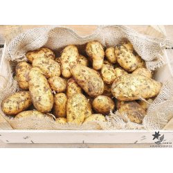 Allians Lggekartofler 1,5 kg