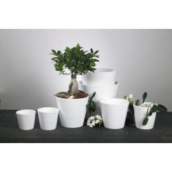 Anette Skjuler, Hvid