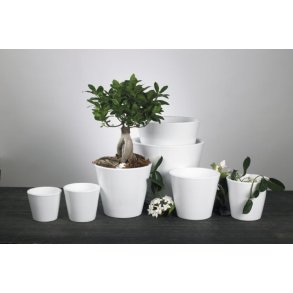 Anette Skjuler, Hvid