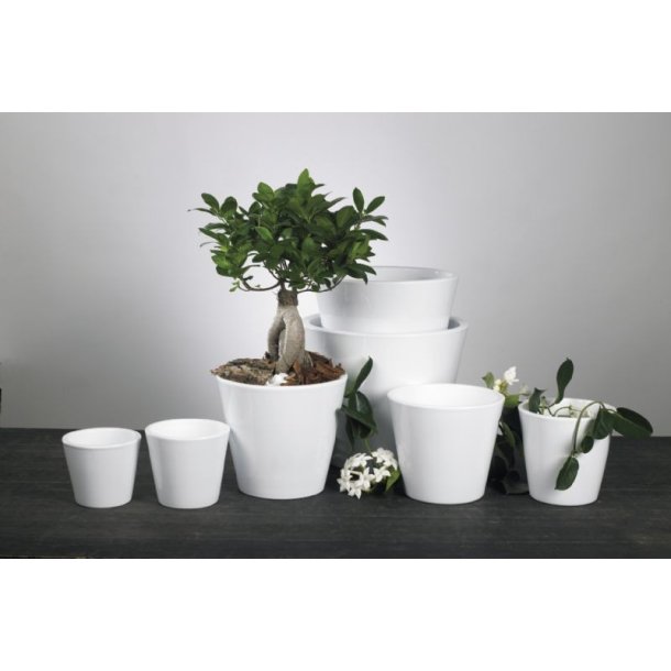 Anette Skjuler, Hvid