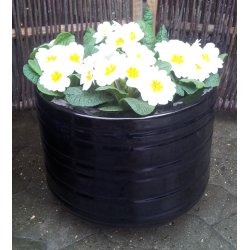 Beth Krukke, Blank sort*