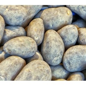 Bintje Lggekartofler 1,5 kg