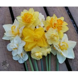 Dobbelt P�skelilje, Mix