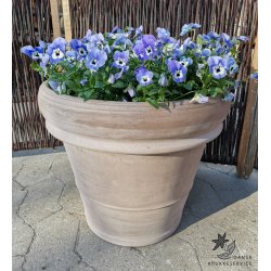 Doppio Bordo Greige (*)