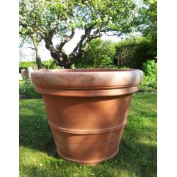 Doppio Bordo Toscana, XL(*)