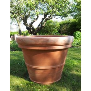 Doppio Bordo Toscana, XL(*)