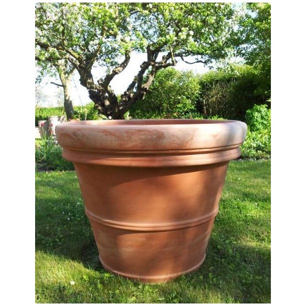 Doppio Bordo Toscana, XL(*)