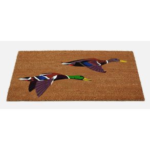 D�rm�tte med Flyvende �nder