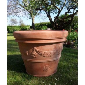 Festonato Toscana XL(*)