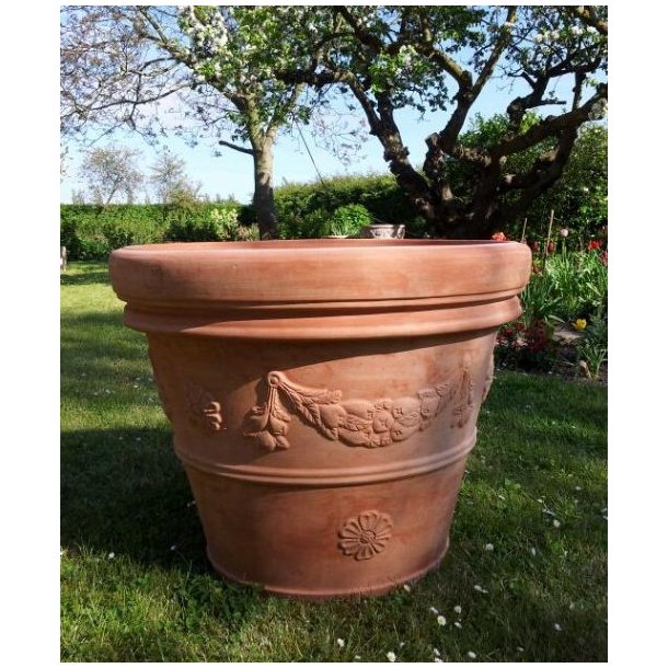 Festonato Toscana XL(*)