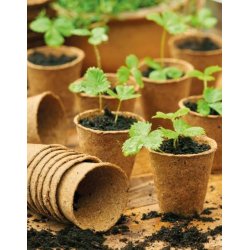 Fiberpotte, rund 6 cm